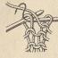 Итальянский набор петель спицами для резинки, шапок, вязания с эластичным краем: описание, схема, видео, фото